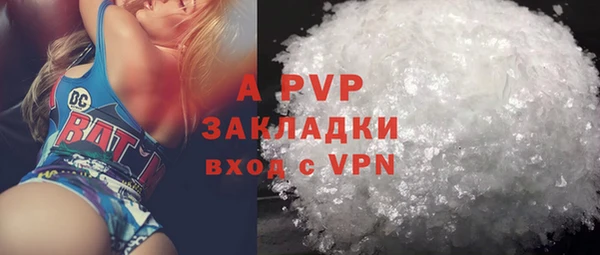 сатива Белокуриха