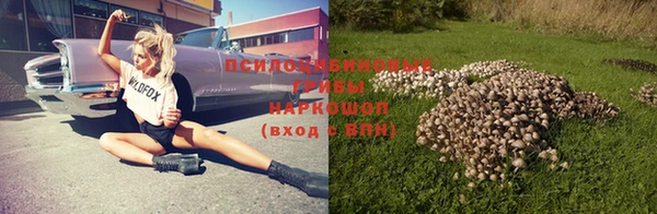 COCAINE Богородск