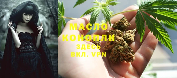 хмурый Богородицк
